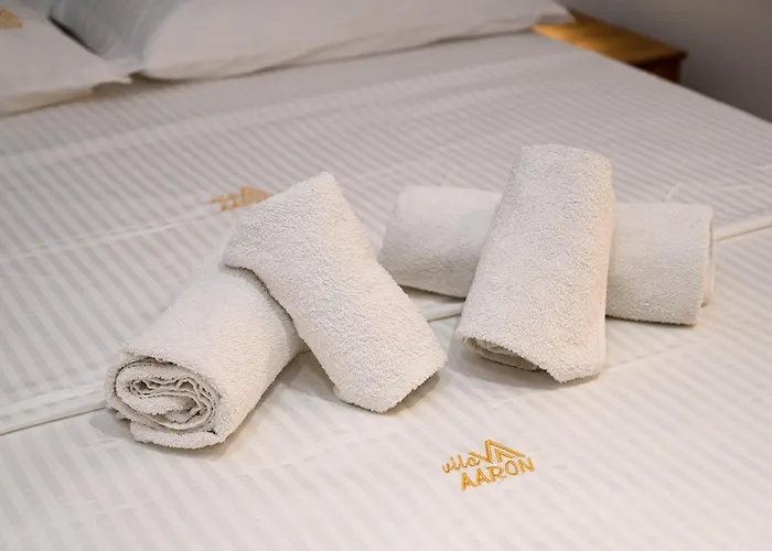 Hotel Vila Aaron
